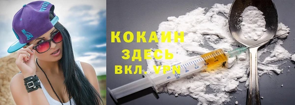 крисы Горняк
