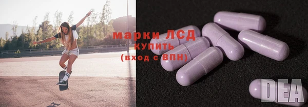 крисы Горняк