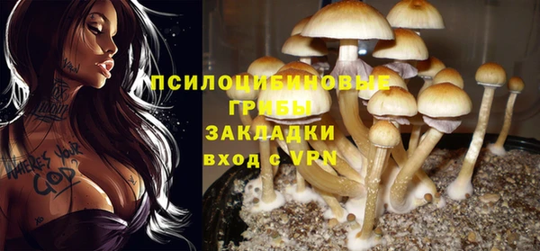 крисы Горняк