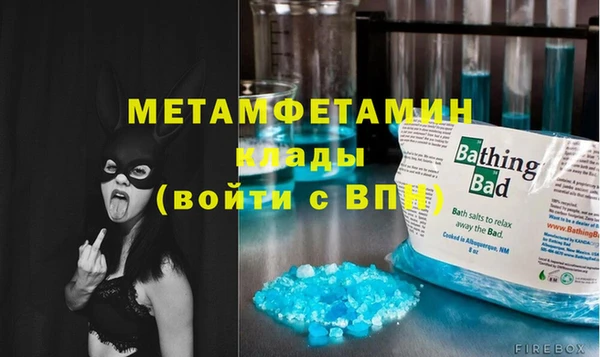 сатива Вяземский
