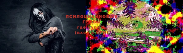 крисы Горняк