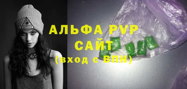 крисы Горняк
